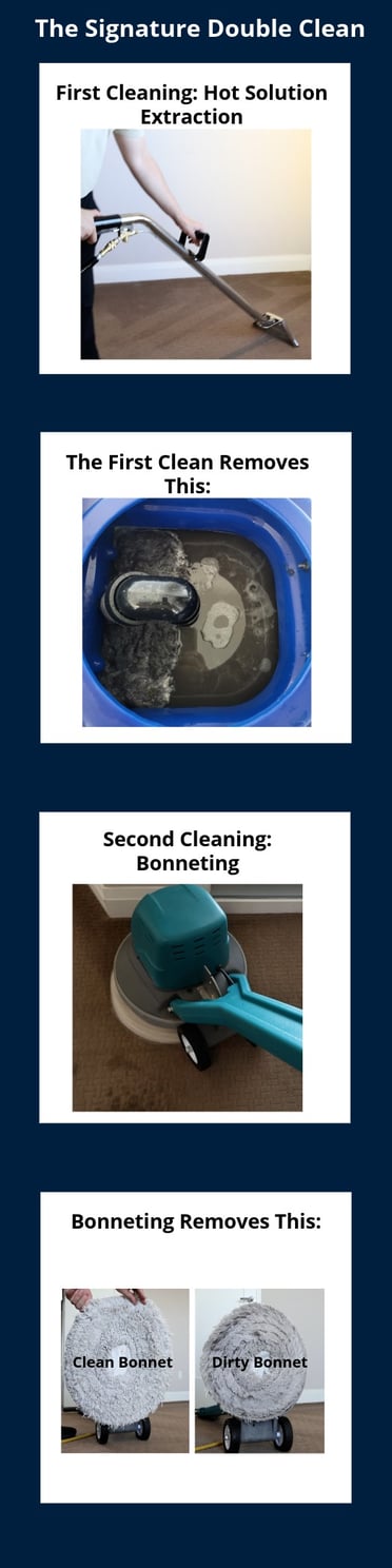 The Signature Double Clean Carpet Cleaning Method step by step