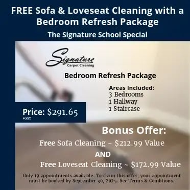 Carpet cleaning in the background and an offer overlayed Carpet cleaning in the background and an offer overlayed