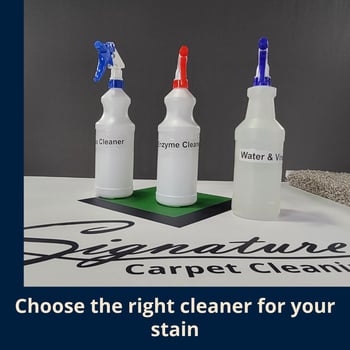 Enzyme, citrus, water &amp; vinegar cleaners lined up.