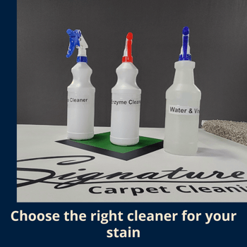 Enzyme, citrus, water & vinegar cleaners lined up.