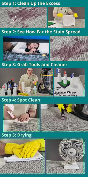 Graphic showing the 5 basic steps for stain removal