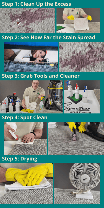 Graphic showing the 5 basic steps for stain removal