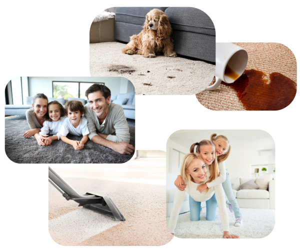 Dirty Carpets from pets, carpet cleaning in action, stains, families enjoying their carpets