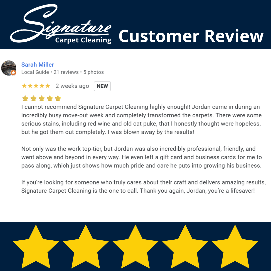 A review of our professional carpet cleaning services from a client A review of our professional carpet cleaning services from a client