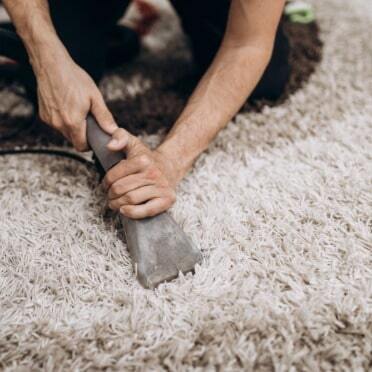 Area rug cleaning in progress