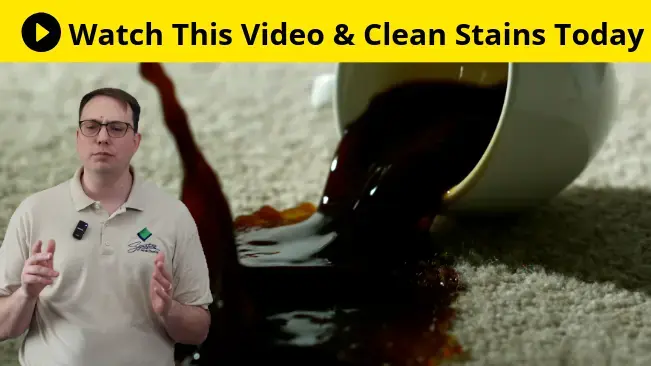Watch the Stain Removal Guide Video