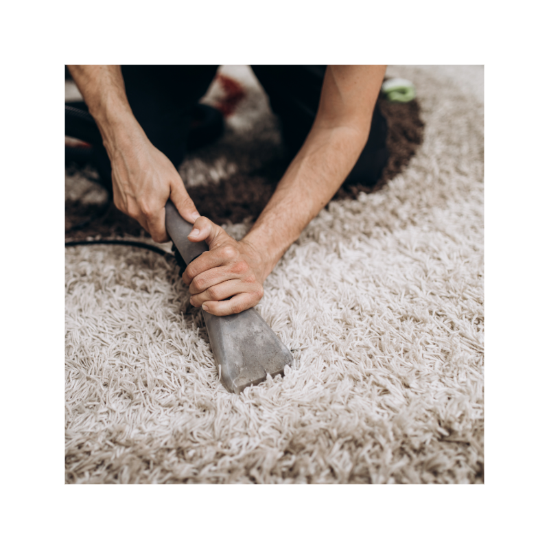 Professional Area Rug cleaning in progress