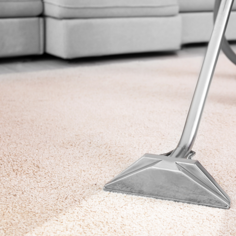 Professional carpet cleaning in action