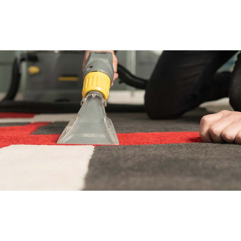 Professional Area Rug cleaning in progress