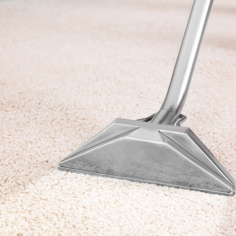 Professional Carpet Cleaning Wanding on white carpet