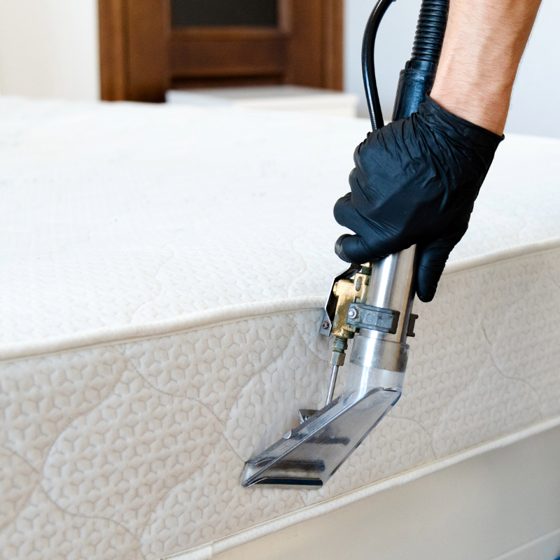 Professional Mattress cleaning in progress