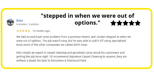 Review from Brian Review from Brian